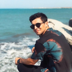 Меджид Софиев, 26.11.1995, Баку