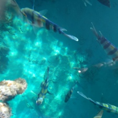 Наталья Твердова, 29.08.1977, Витебск