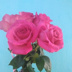 Ольга Лукьянчик, Боготол