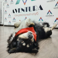 Алина Сапина, Воронеж