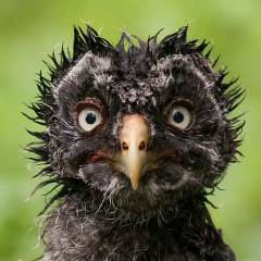 Кирилл Никифоров, 20.08, Москва