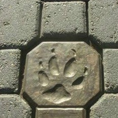 Владимир Спеко, 20.03