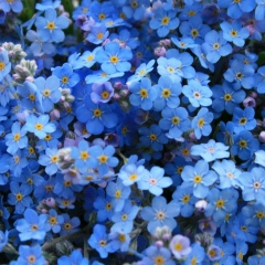 Разифа Юлдашева, 21.09, Сайраново