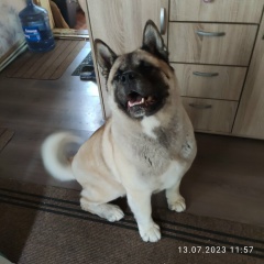 Алла Кожухова, 24.12, Москва