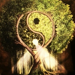 Airat Galimov, 19.02.1987, Уфа