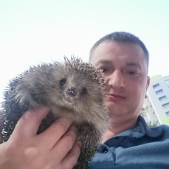 Михаил Комиссаров, 16.04.1984