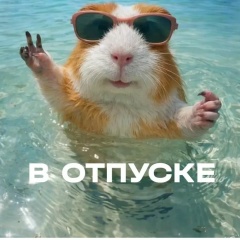Ирина Дикопалова