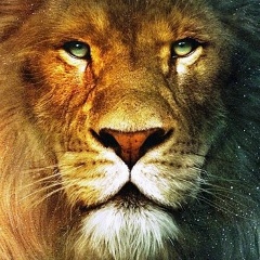 Grone Elemes, 03.06.1989, Астана