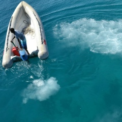 Татьяна Лихолат(Корчовная), 04.10, Борисполь