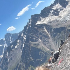 Александр Медведев