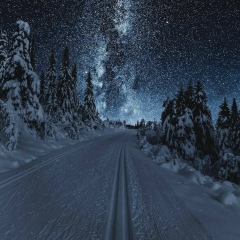 Абилхайыр Мадибек, 30.12.1994, Шымкент