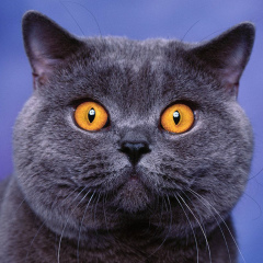 Дмитрий Кедров, 29.11.1999, Санкт-Петербург