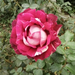 Татьяна Какухина, Новокузнецк