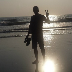 Владимир Воронов, Москва