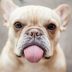 Елена Ворончихина, 01.08.1985, Москва