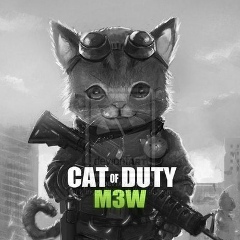 Сергей Гайманов, 08.11.1987, Санкт-Петербург