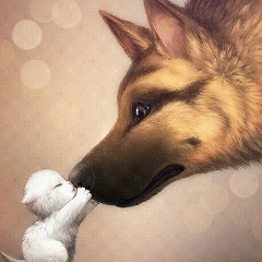 Timoha Sakenov, 19.07.1994, Тараз