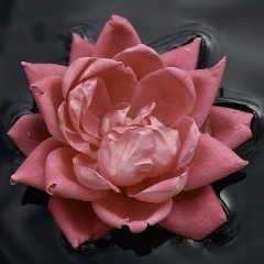 Зере Кулушева, 09.05, Астана