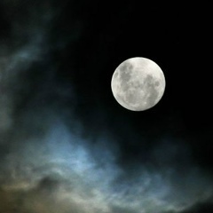 Азамат Аппаков, Москва