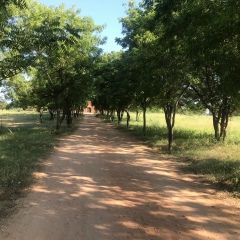 Yulay Nwe, 29.04.1987