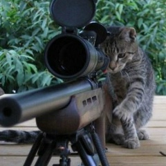 Сергей Пчёлкин, 25.08.1987, Давыдово