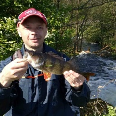 Дмитрий Бурмако, 01.11