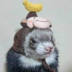 Артем Гончаров, 28.10