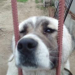 Александр Смирнов, 18.02.1995, Одесса