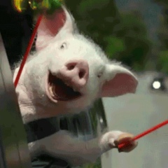 Сергей Фролов, Москва