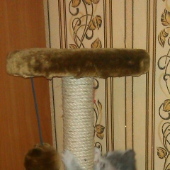 Поликарп Пятин, 27.05.1985, Косой Брод