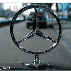 Константин Александрович, 02.07, Витебск