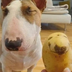 Алексей Ковалёв, 25.02.1990, Долгопрудный