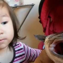 Калжан Рахметов, Астана