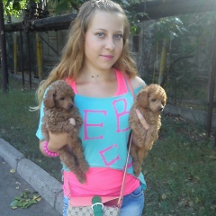 Алена Сухова, 01.09.1993, Алматы