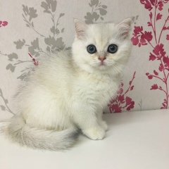 Дарья Косая, 12.07