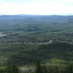 Ольга Горная