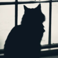 Иван Иванов, 26.10, Улан-Удэ