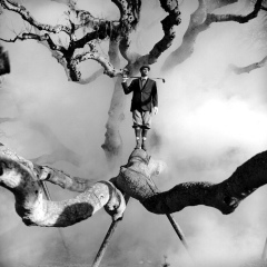 Павел Бебебе, 17.04.1917, Санкт-Петербург