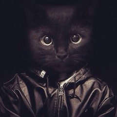 Дмитрий Извеков, 04.05