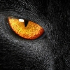 Наталья Спирова, 04.07.1986, Санкт-Петербург