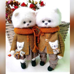 Aigera Aigera, 15.02.1992, Шымкент