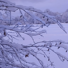 Натэлла Елисеева, Кемь