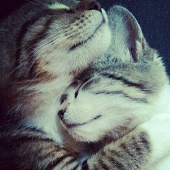 Евгений Захаров, 05.04, Тучково