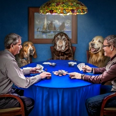 Алла Александрович, 02.01.1985, Ереван