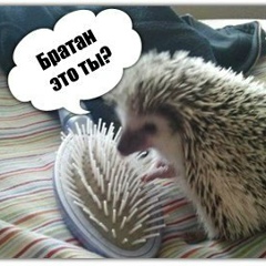 Сабир Азизов, 05.07.1990, Алматы