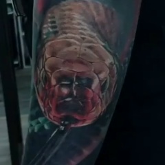 Роман Гранаткин, Алматы