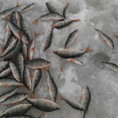 Артем Сергеевич, 12.03.1985, Санкт-Петербург