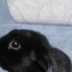 Кристина Иванова, 25.02, Калининград