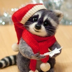 Ольга Соколова, 25.10, Москва