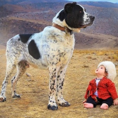 Мекан Бердиев, 31.03, Горки